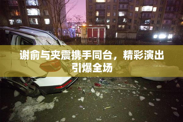 谢俞与夹震携手同台，精彩演出引爆全场