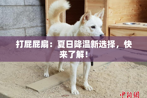 打屁屁扇：夏日降温新选择，快来了解！