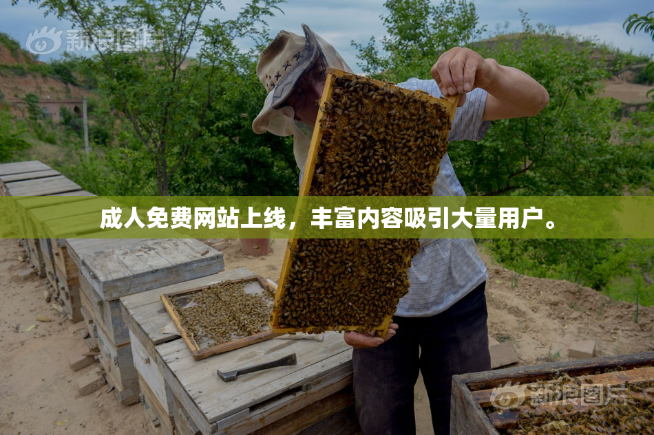 成人免费网站上线，丰富内容吸引大量用户。