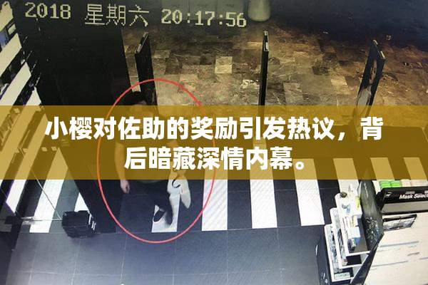 小樱对佐助的奖励引发热议，背后暗藏深情内幕。