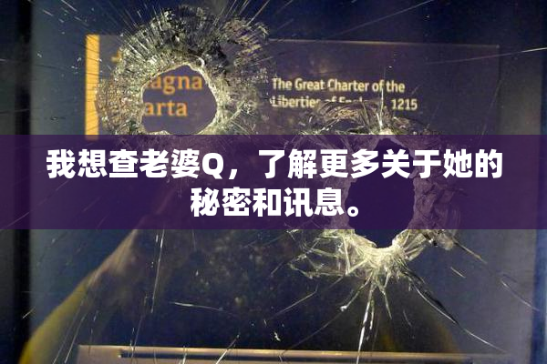 我想查老婆Q，了解更多关于她的秘密和讯息。