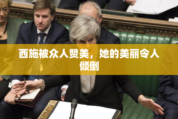 西施被众人赞美，她的美丽令人倾倒