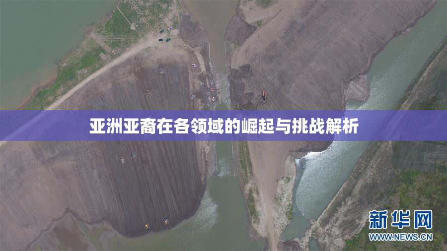 亚洲亚裔在各领域的崛起与挑战解析