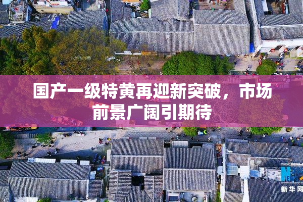 国产一级特黄再迎新突破，市场前景广阔引期待