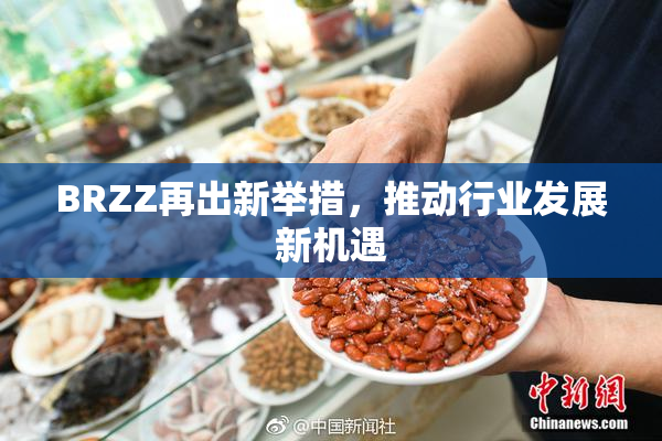 BRZZ再出新举措，推动行业发展新机遇