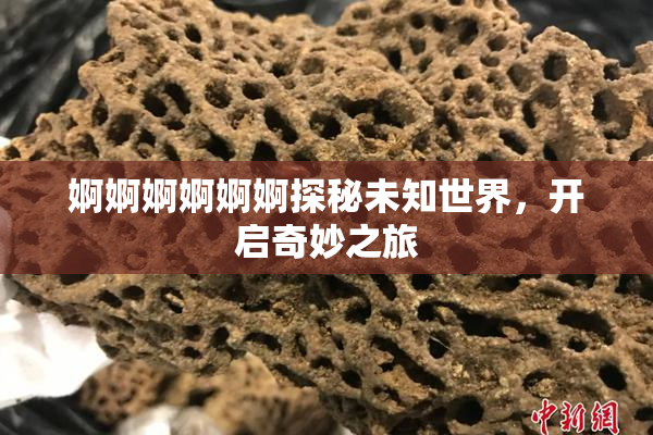 婀婀婀婀婀婀探秘未知世界，开启奇妙之旅