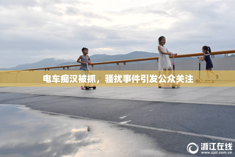 电车痴汉被抓，骚扰事件引发公众关注
