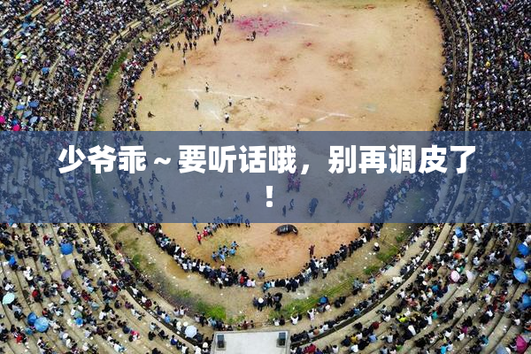 少爷乖～要听话哦，别再调皮了！