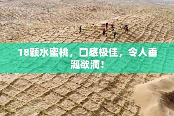18颗水蜜桃，口感极佳，令人垂涎欲滴！