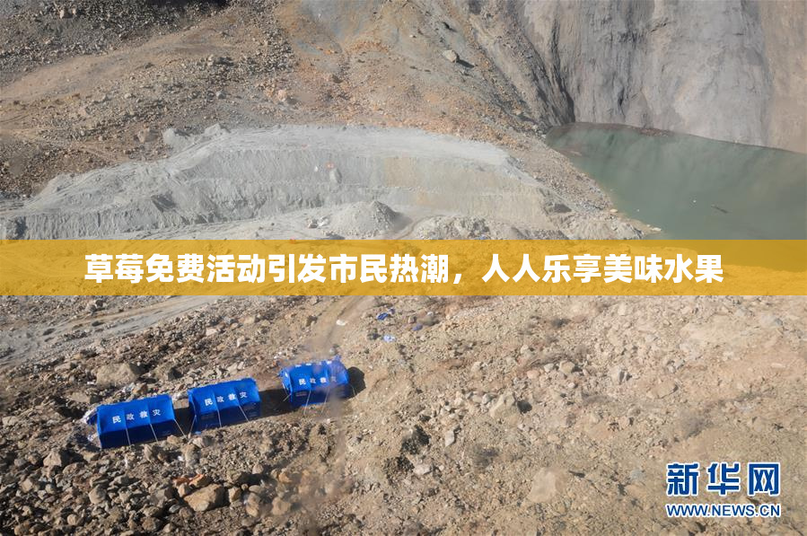草莓免费活动引发市民热潮，人人乐享美味水果