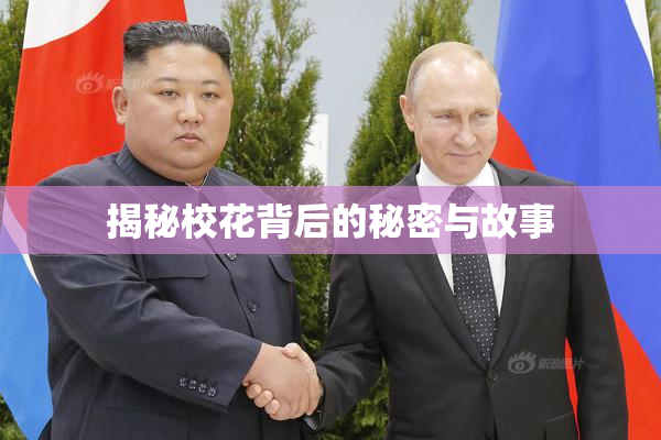 揭秘校花背后的秘密与故事
