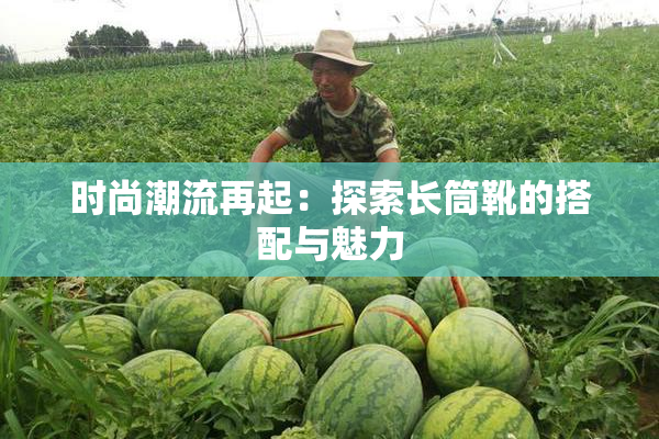 时尚潮流再起：探索长筒靴的搭配与魅力