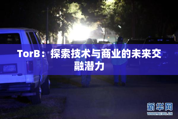TorB：探索技术与商业的未来交融潜力