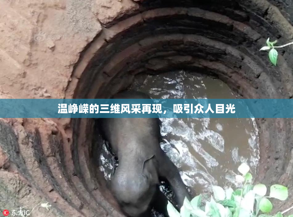温峥嵘的三维风采再现，吸引众人目光