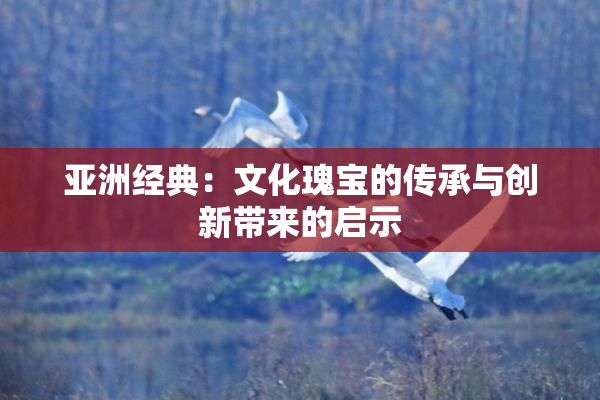 亚洲经典：文化瑰宝的传承与创新带来的启示
