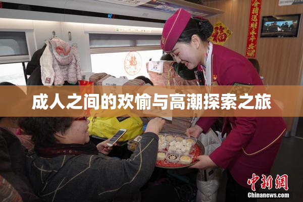 成人之间的欢愉与高潮探索之旅