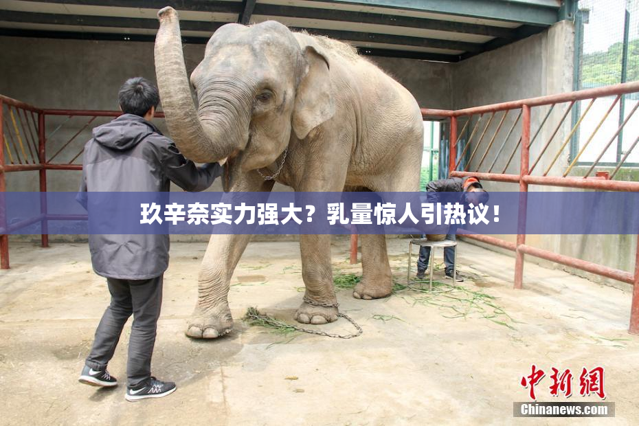 玖辛奈实力强大？乳量惊人引热议！