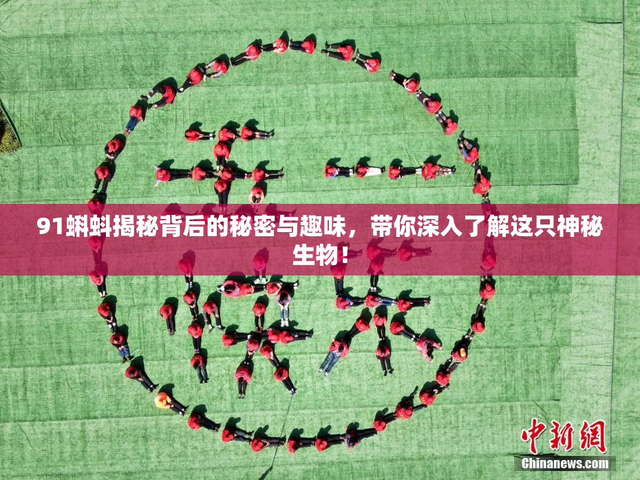 91蝌蚪揭秘背后的秘密与趣味，带你深入了解这只神秘生物！