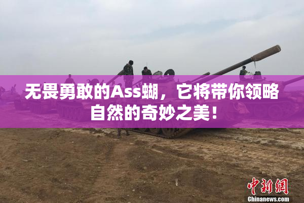 无畏勇敢的Ass蝴，它将带你领略自然的奇妙之美！
