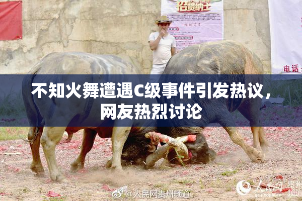 不知火舞遭遇C级事件引发热议，网友热烈讨论