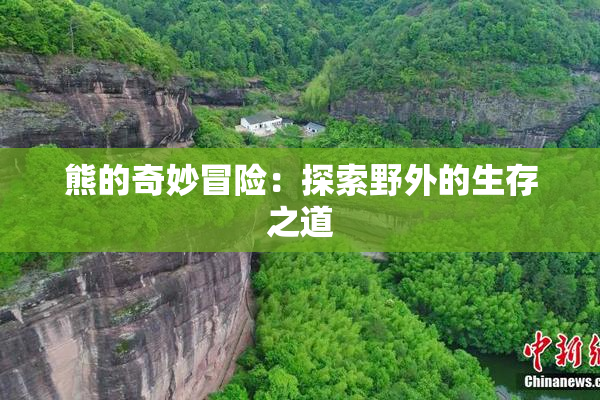 熊的奇妙冒险：探索野外的生存之道