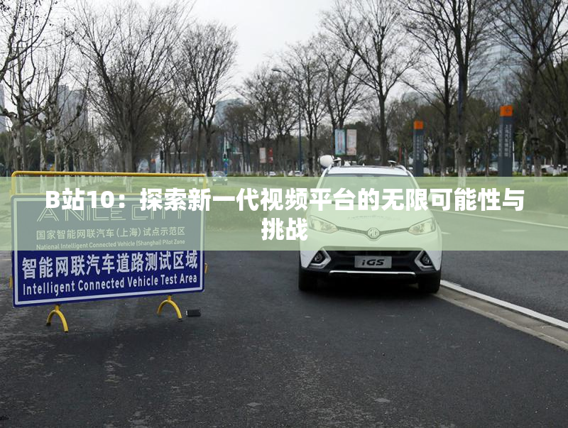 B站10：探索新一代视频平台的无限可能性与挑战