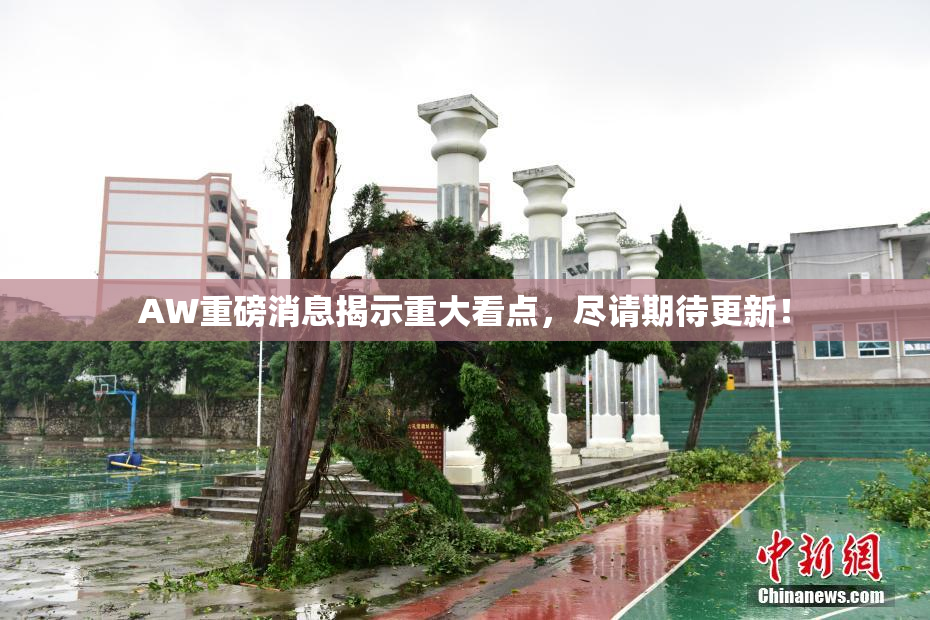 AW重磅消息揭示重大看点，尽请期待更新！