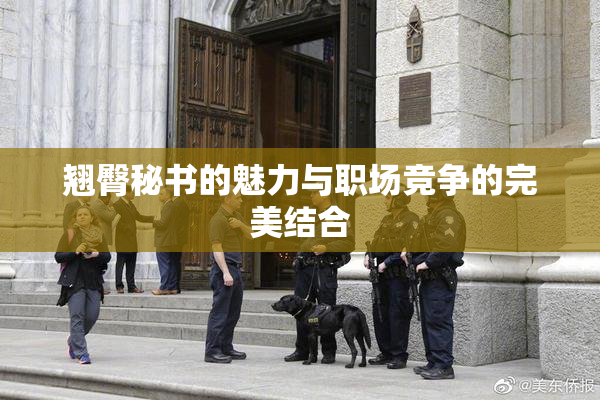 翘臀秘书的魅力与职场竞争的完美结合