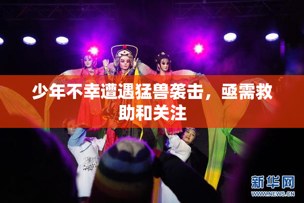 少年不幸遭遇猛兽袭击，亟需救助和关注