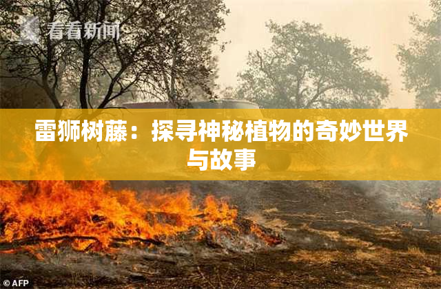 雷狮树藤：探寻神秘植物的奇妙世界与故事