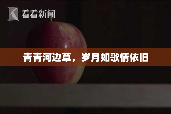 青青河边草，岁月如歌情依旧