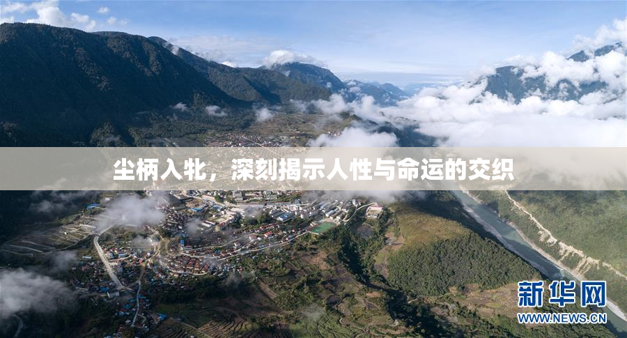 尘柄入牝，深刻揭示人性与命运的交织