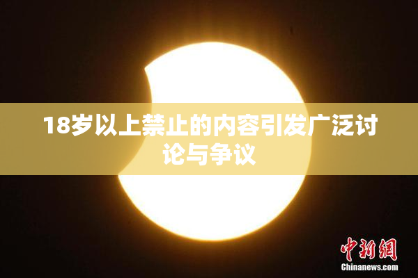 18岁以上禁止的内容引发广泛讨论与争议