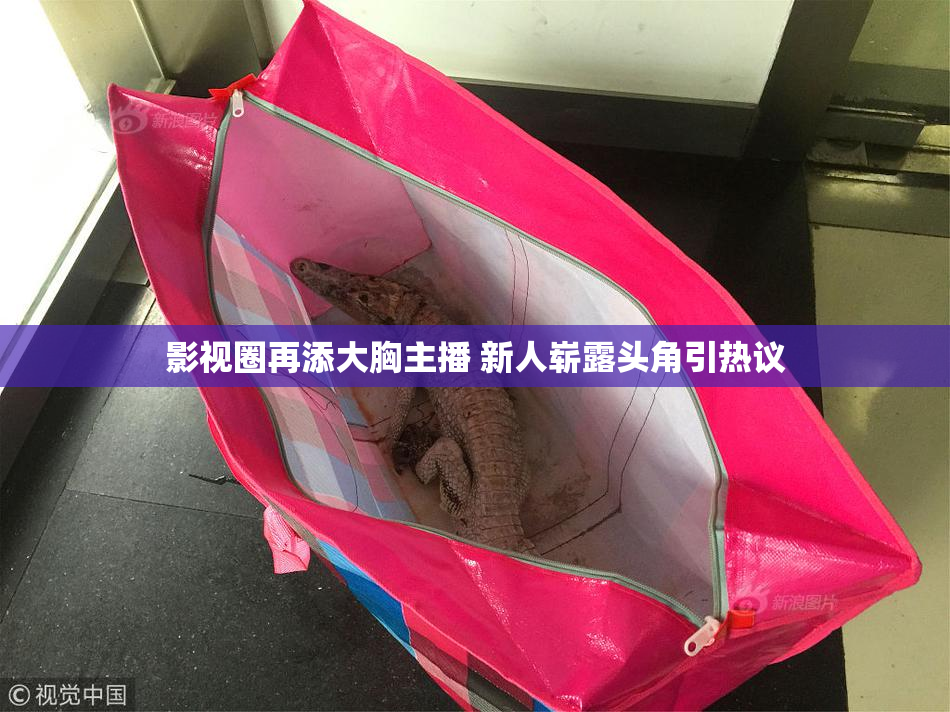 影视圈再添大胸主播 新人崭露头角引热议