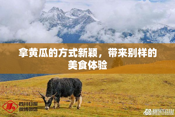 拿黄瓜的方式新颖，带来别样的美食体验
