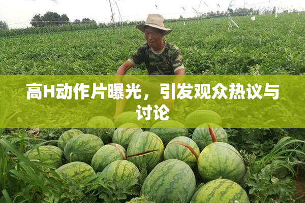 高H动作片曝光，引发观众热议与讨论