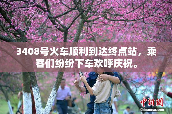 3408号火车顺利到达终点站，乘客们纷纷下车欢呼庆祝。
