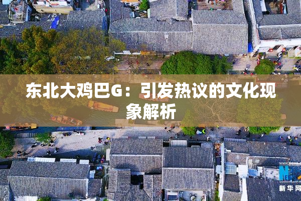 东北大鸡巴G：引发热议的文化现象解析