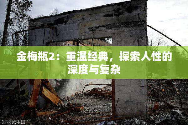 金梅瓶2：重温经典，探索人性的深度与复杂