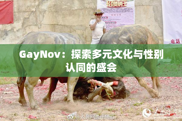 GayNov：探索多元文化与性别认同的盛会