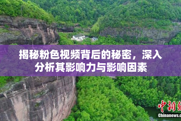 揭秘粉色视频背后的秘密，深入分析其影响力与影响因素
