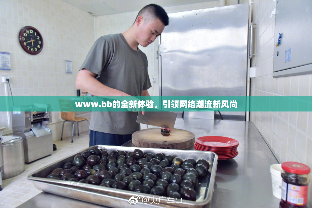 www.bb的全新体验，引领网络潮流新风尚