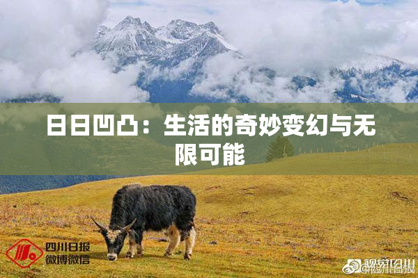日日凹凸：生活的奇妙变幻与无限可能