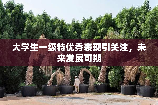 大学生一级特优秀表现引关注，未来发展可期