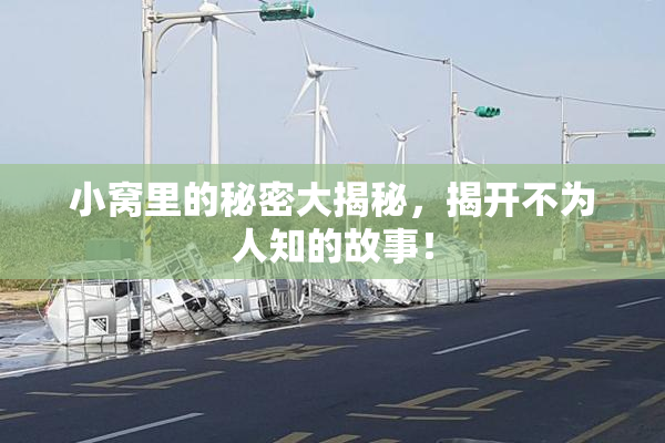 小窝里的秘密大揭秘，揭开不为人知的故事！