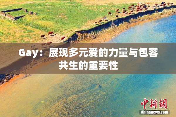 Gay：展现多元爱的力量与包容共生的重要性