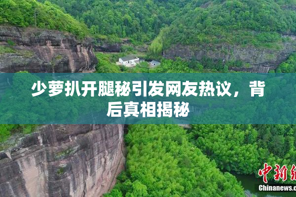 少萝扒开腿秘引发网友热议，背后真相揭秘