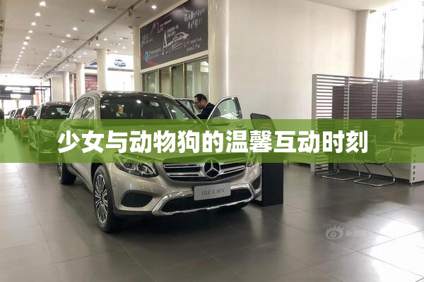 少女与动物狗的温馨互动时刻