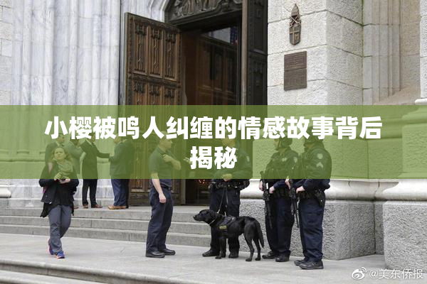 小樱被鸣人纠缠的情感故事背后揭秘