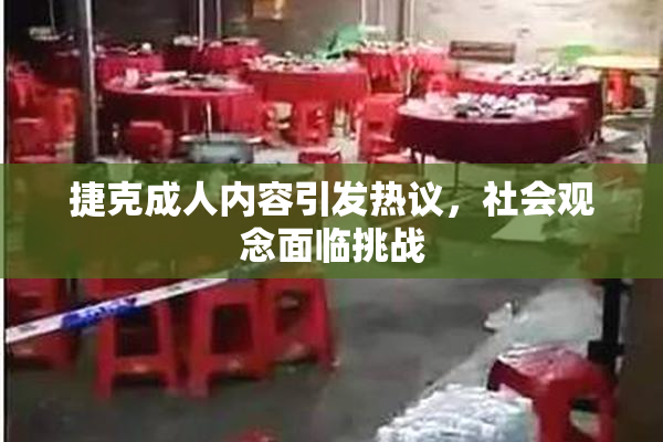 捷克成人内容引发热议，社会观念面临挑战